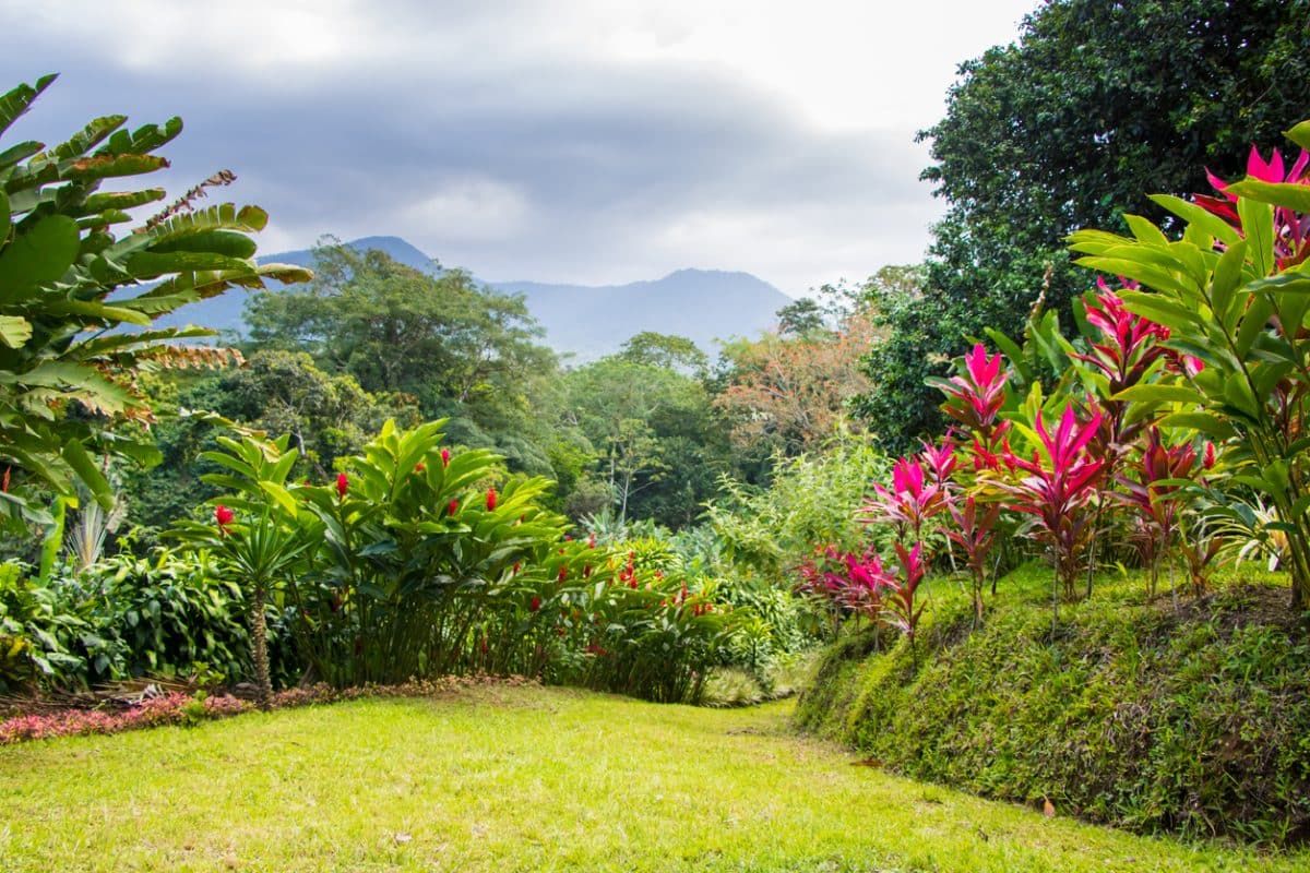 Comment aménager un jardin exotique ?