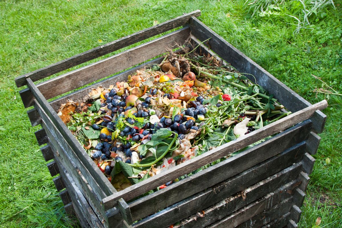 Composter sur son… balcon !  Lombricomposteur, Composteur