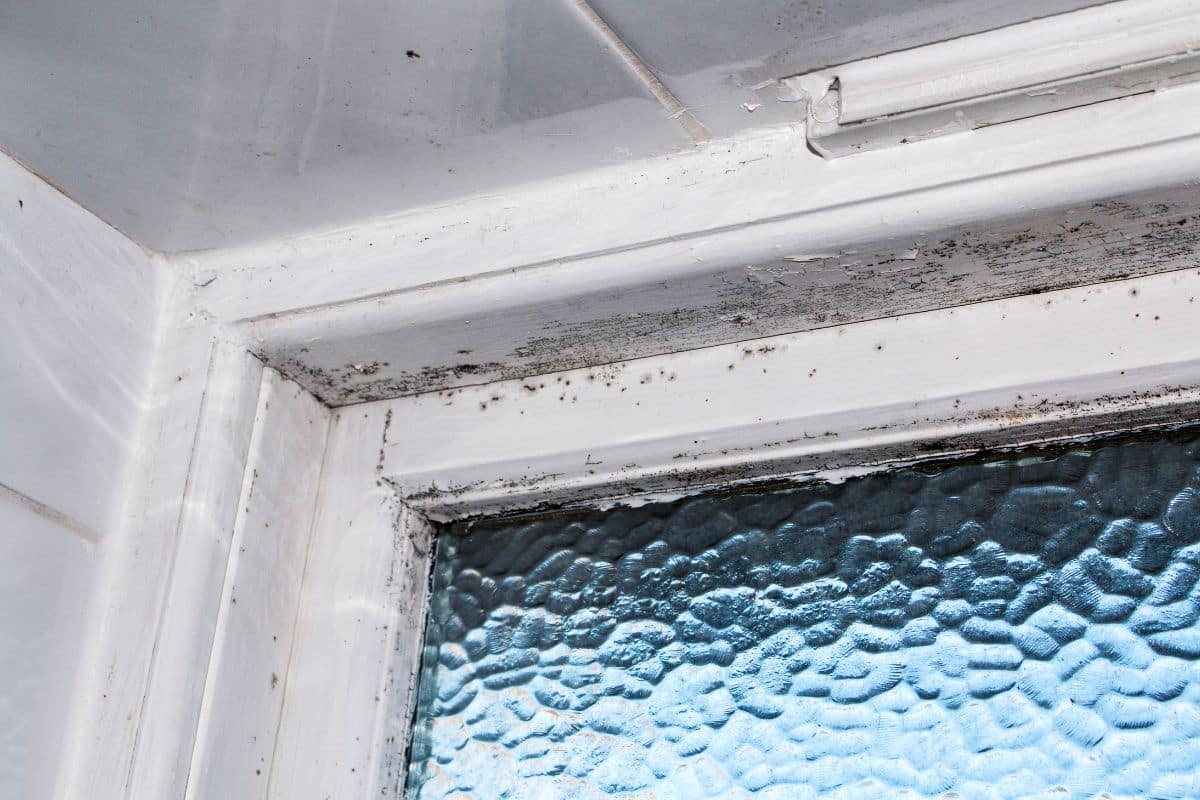 Évitez l'arrivée de la moisissure autour de vos fenêtres grâce à ces 3 astuces malines