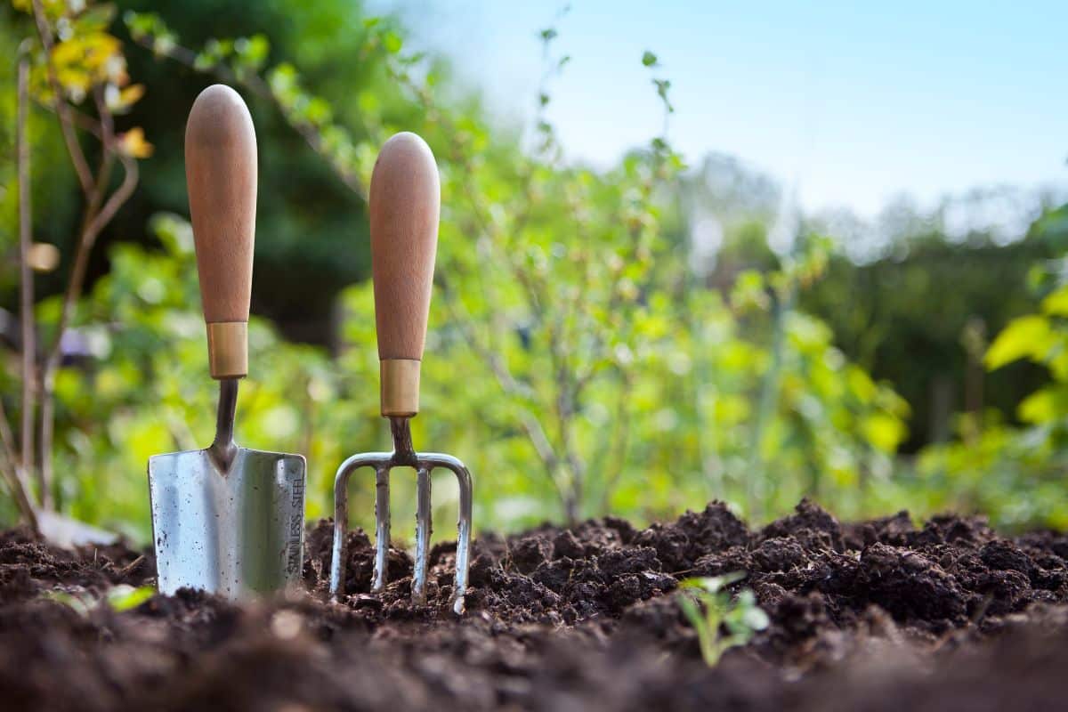 Jardin à prix cassés : toutes les nouveautés du catalogue Lidl !