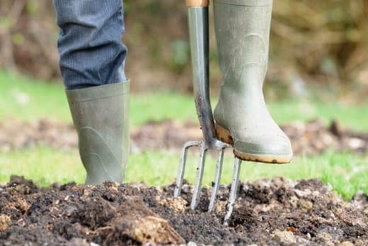 À épingler : Quand préparer son jardin pour le printemps ? Voici nos 6 astuces !