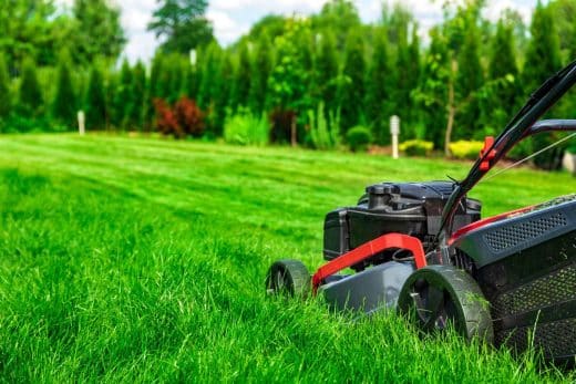 À épingler : Quand tondre la pelouse la 1ère fois après l’hiver pour avoir un gazon parfait ?