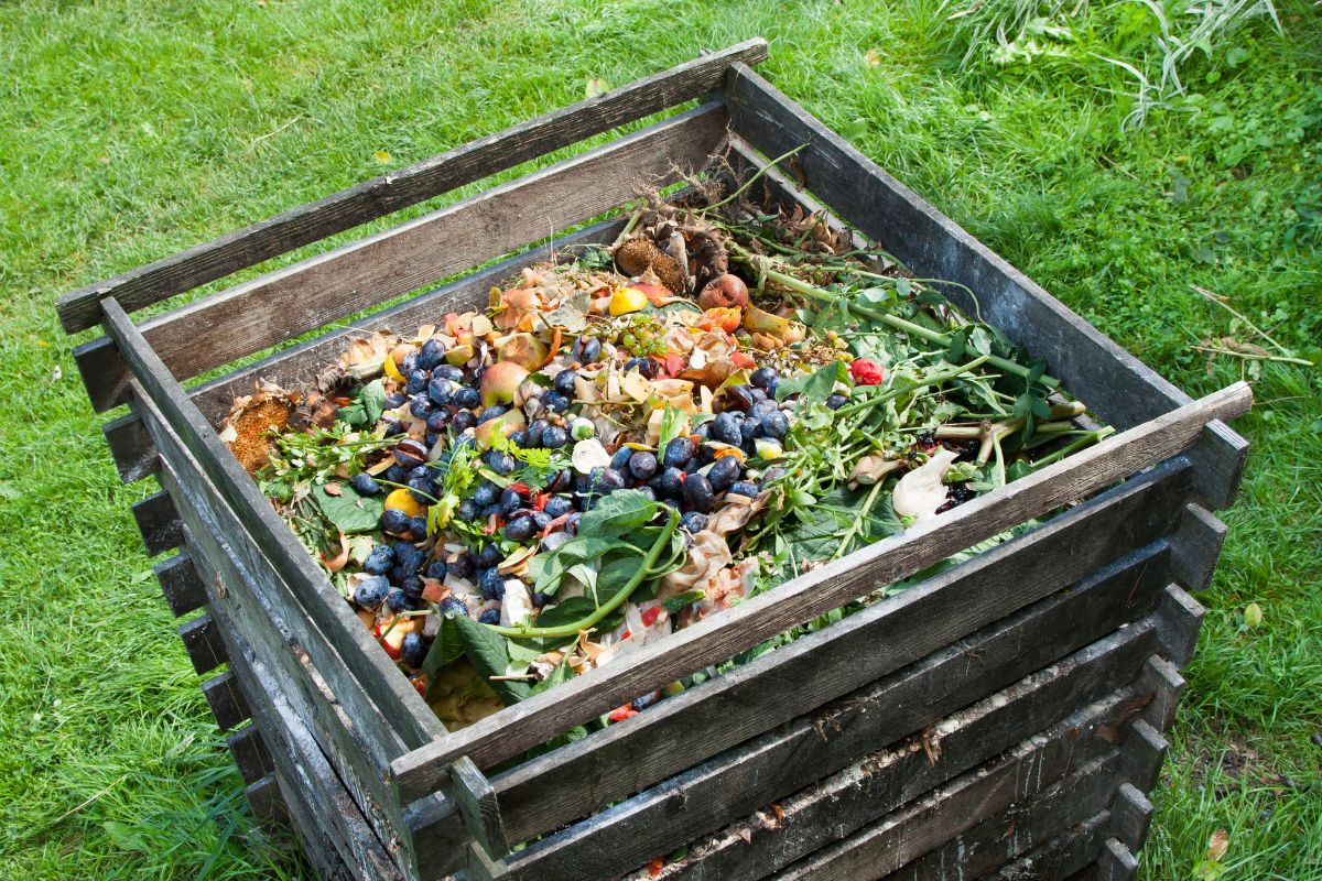 Les meilleurs composteurs extérieurs pour vos déchets organiques