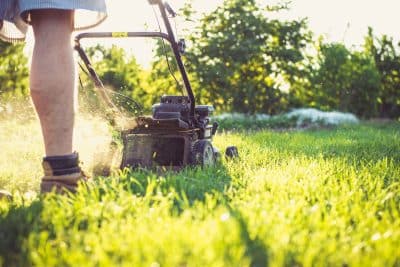 Quel est le meilleur moment pour commencer à tondre sa pelouse ?
