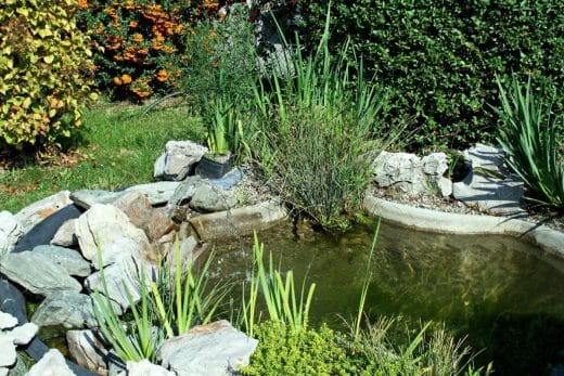 À épingler : Améliorez votre bien-être en créant un jardin thérapeutique. On vous explique à quoi ça sert et comment l’aménager