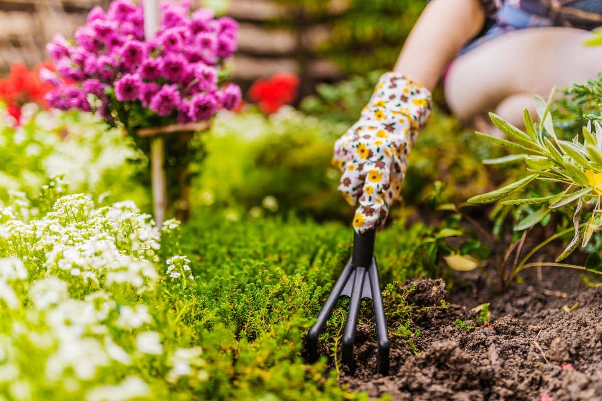 Jardinage en ville : les plantes et les techniques adaptées à un petit espace