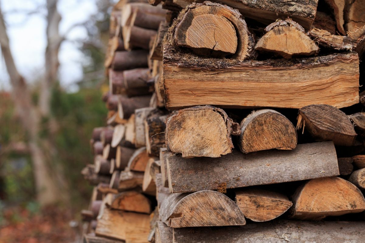 Le prix du stère de bois va-t-il enfin baisser ? Tout savoir