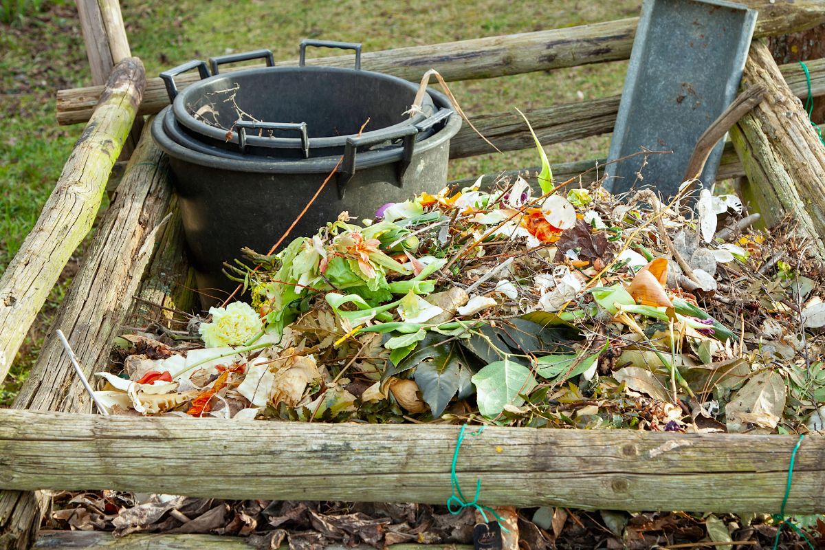 Les 6 erreurs à éviter si vous avez un compost chez vous