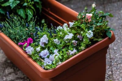 Lidl propose une toute nouvelle jardinière à moins de 5 euros parfaite pour l'arrivée de l'été