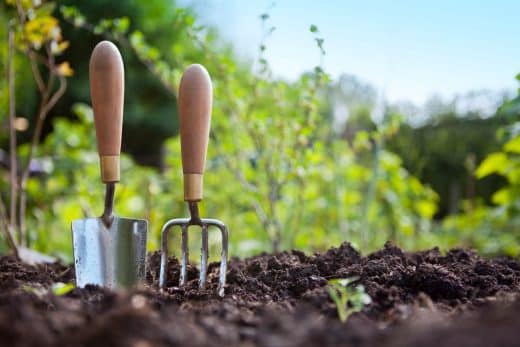 À épingler : Quelles sont les priorités du jardin au mois d’avril ? Voici les gestes à adopter