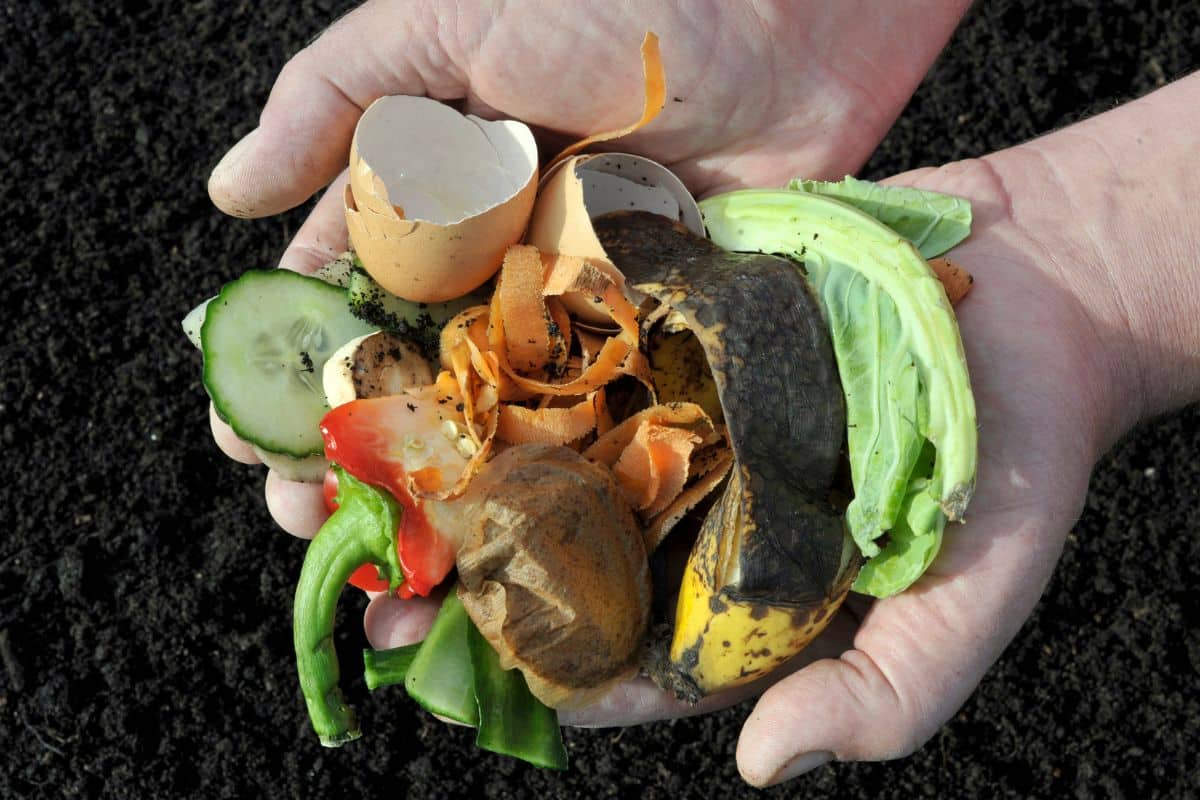 Comment faire un compost sans qu'il crée de mauvaises odeurs ?