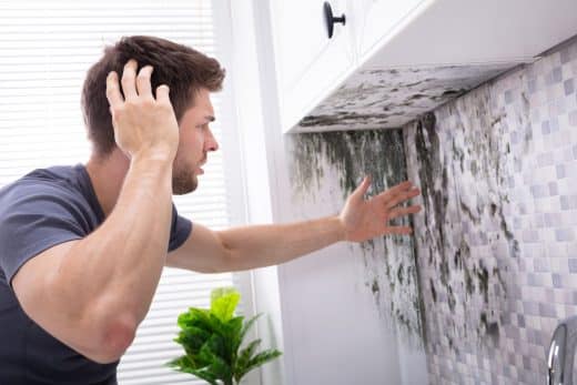 À épingler : Comment se débarrasser de la moisissure sur les murs, joints et tissus sans difficulté ?