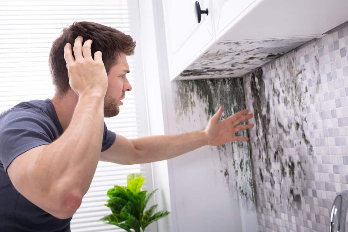 Comment se débarrasser de la moisissure sur les murs, joints et tissus sans difficulté ?