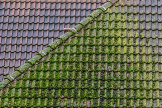 À épingler : Comment nettoyer sa toiture sans monter sur le toit ? Notre astuce imparable !