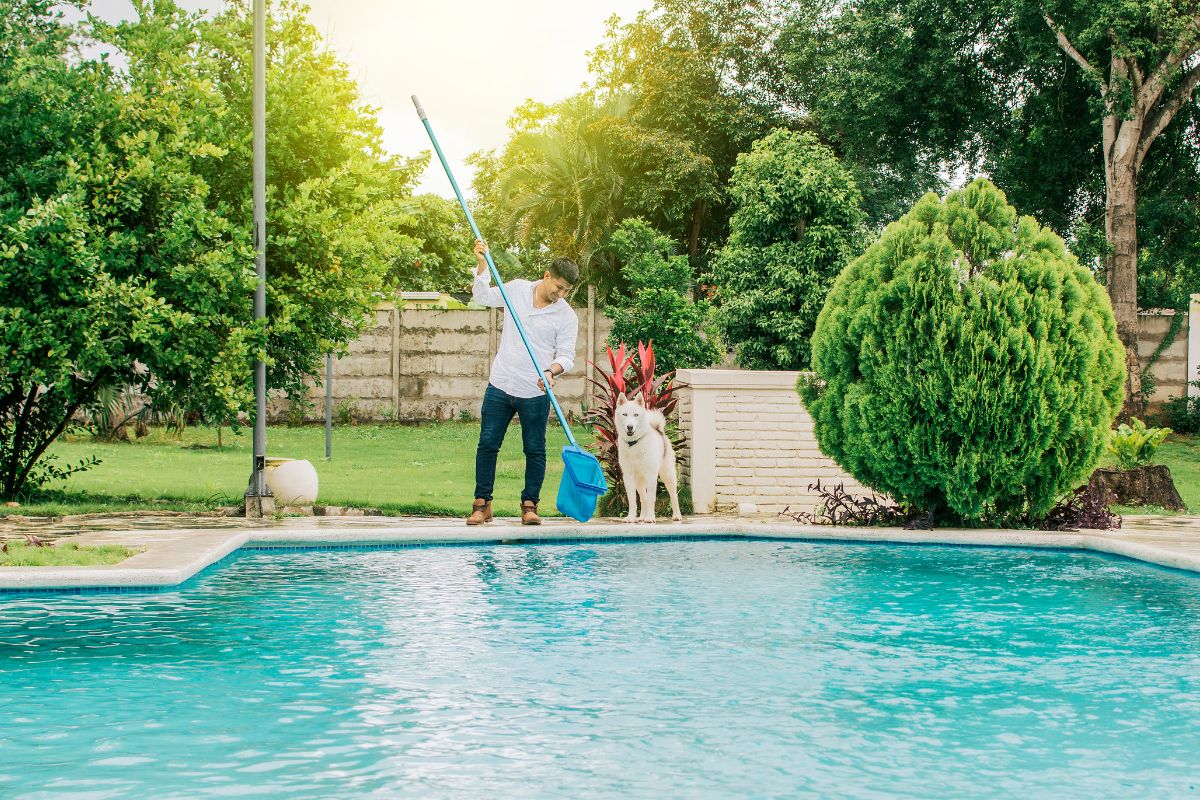 Entretien de votre piscine : les bons outils et les astuces à connaître