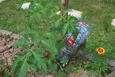 Fabriquez votre propre arrosage goutte à goutte pour le potager grâce à cette astuce