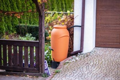 Vous arrosez votre potager exclusivement avec de l'eau de pluie ? Voici ce qu'il faut savoir