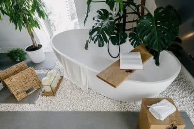 À quoi servent les plantes dans la salle de bain et quelles sont les variétés à privilégier ?