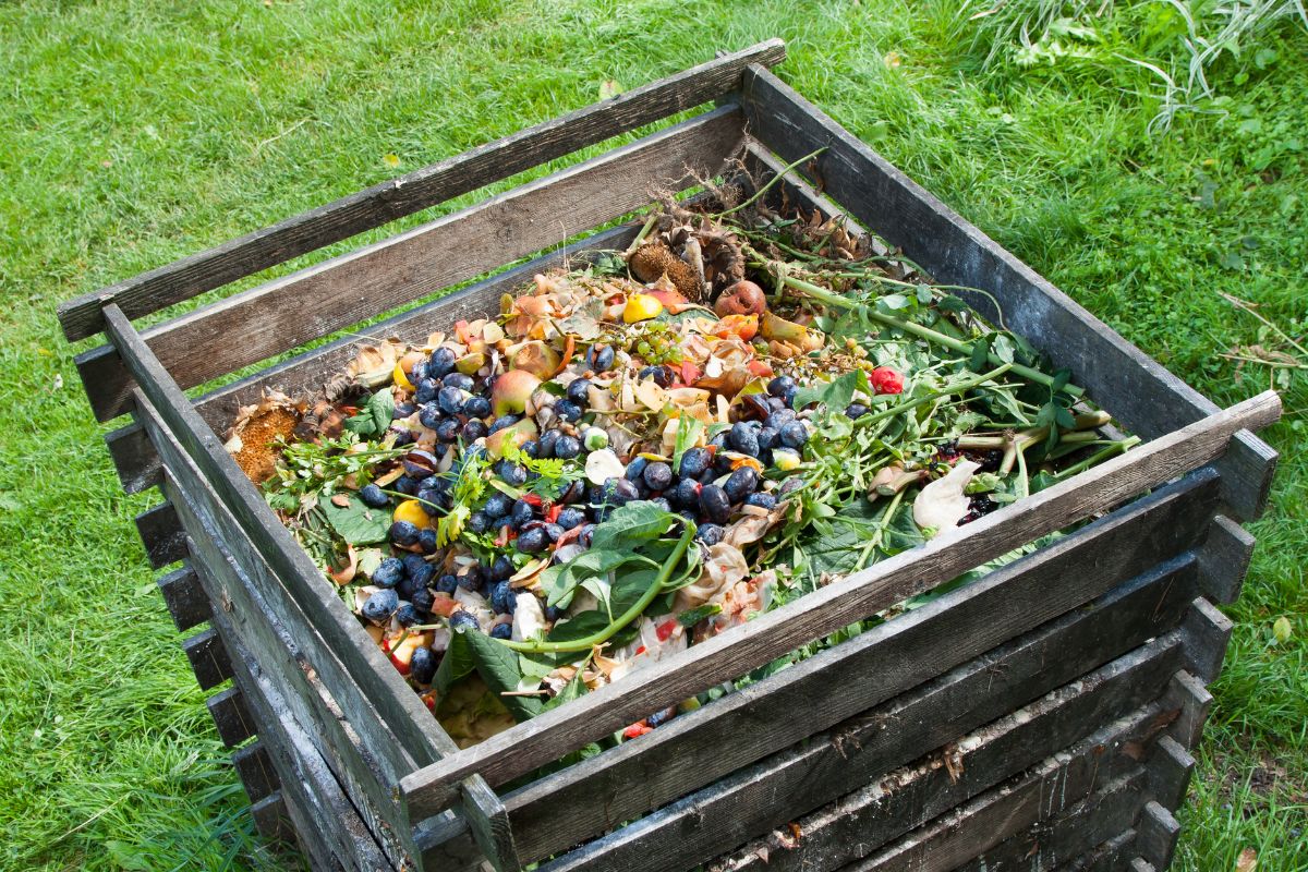 Recyclez vos déchets alimentaires sans souci avec ce composteur de jardin à  prix cassé
