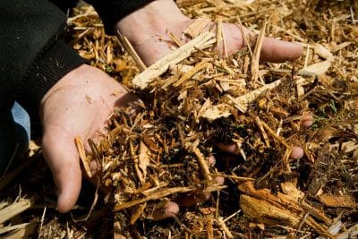 Cette nouvelle tendance au jardin écologique est parfaite si vous souhaitez préserver l'environnement