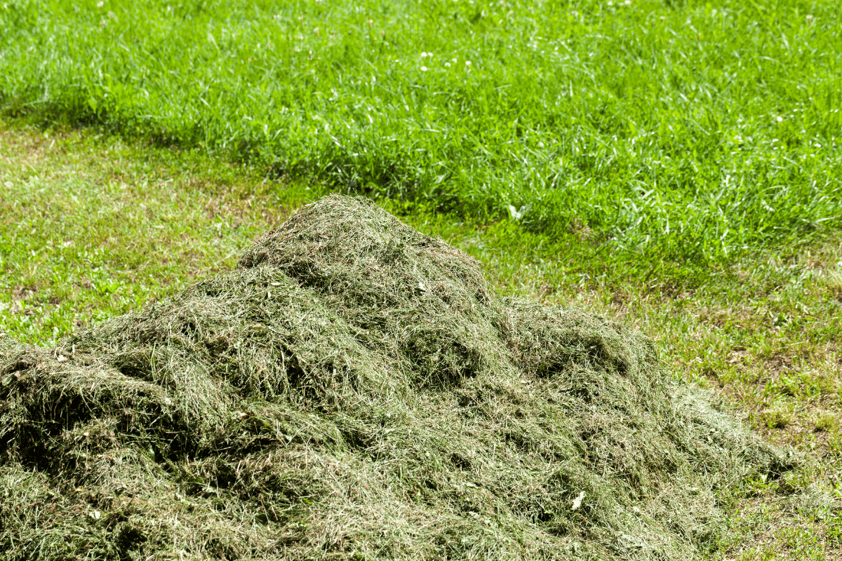 Comment réutiliser la pelouse tondue de votre jardin ? Les 5 possibilités pour lui donner une seconde vie