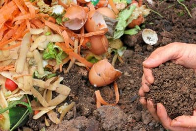 Compost : 8 aliments à ne surtout pas composter si vous voulez éviter les mauvaises surprises !