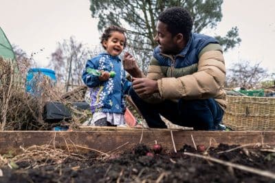 Connaissez-vous le jardinage en lasagne Une méthode efficace pour booster un sol infertile