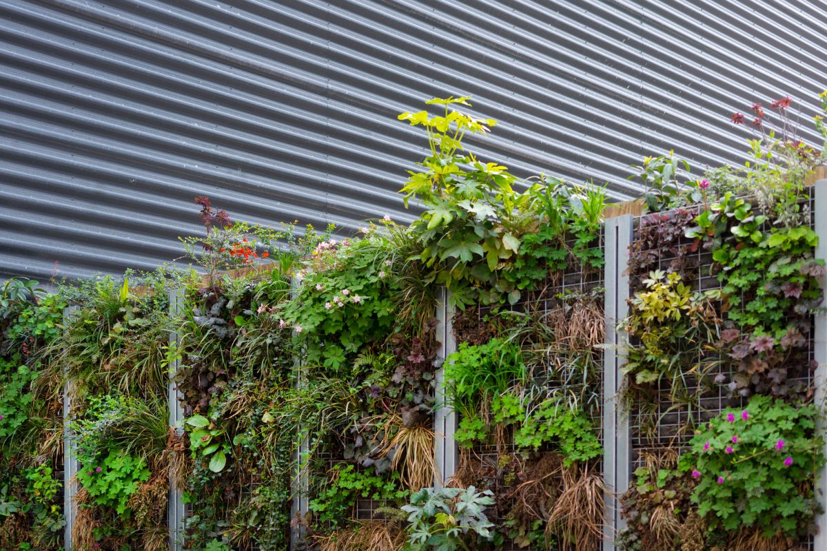 Créer un jardin vertical : Comment s'y prendre et quels sont les avantages ?