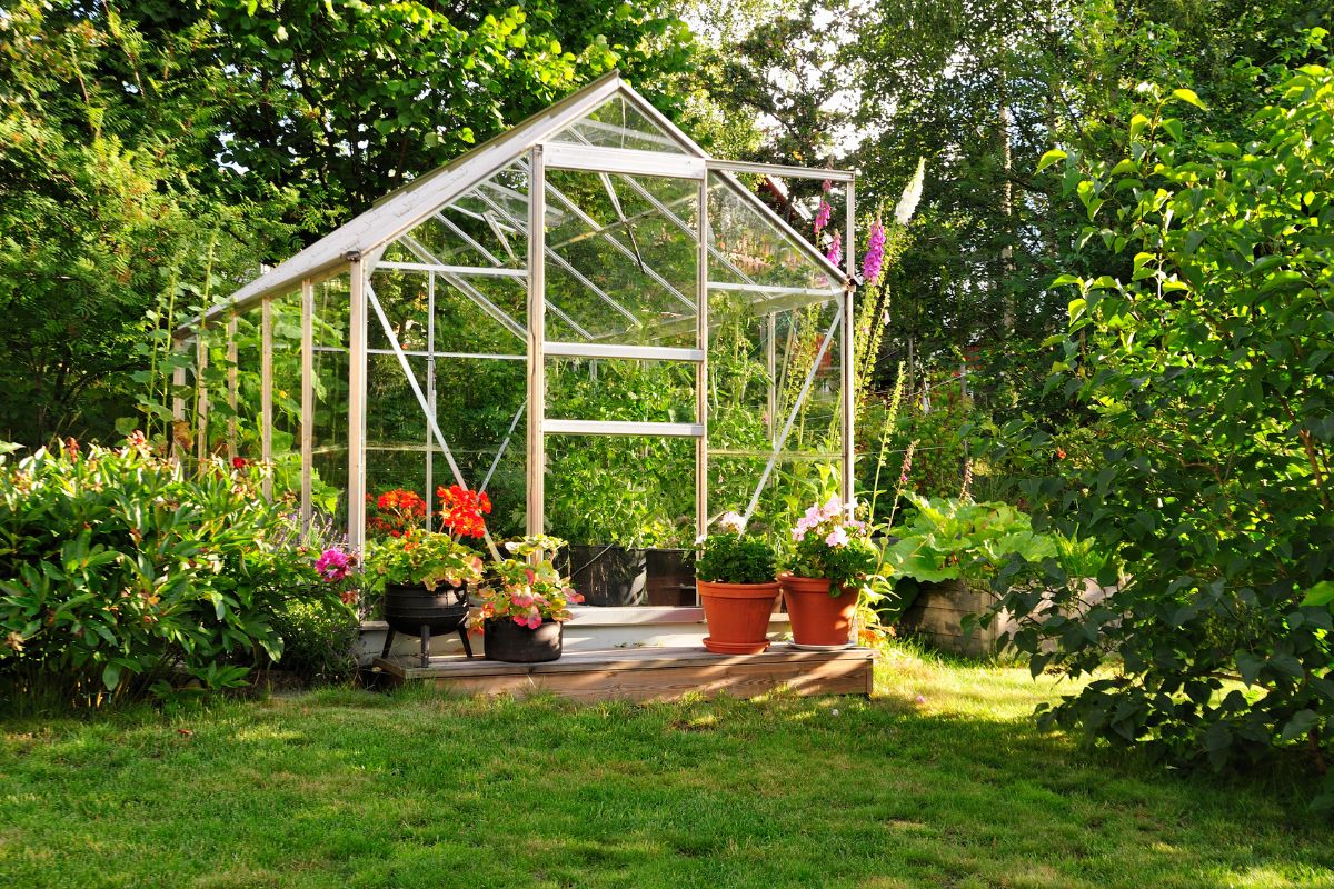 La serre de votre jardin est trop petite ? Voici 5 astuces pour libérer de l'espace à l'intérieur !