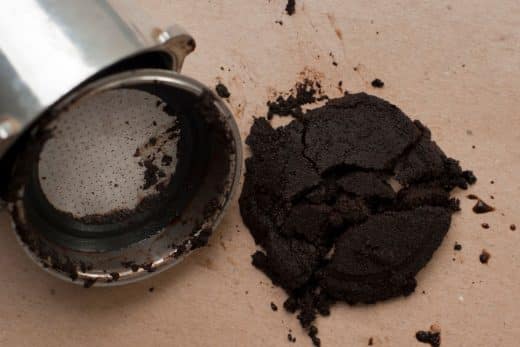 À épingler : Marc de café : Est-ce réellement la solution la plus efficace pour se débarrasser des pucerons sur les plantes de votre jardin ?