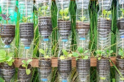 Pas de jardin chez vous ? Cultivez votre propre potager en intérieur grâce à ces 6 astuces simples