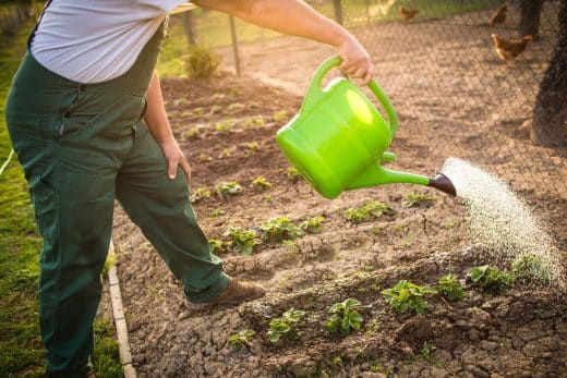 À épingler : Quelles techniques adopter pour arroser son jardin face aux vagues de chaleur actuelles ?