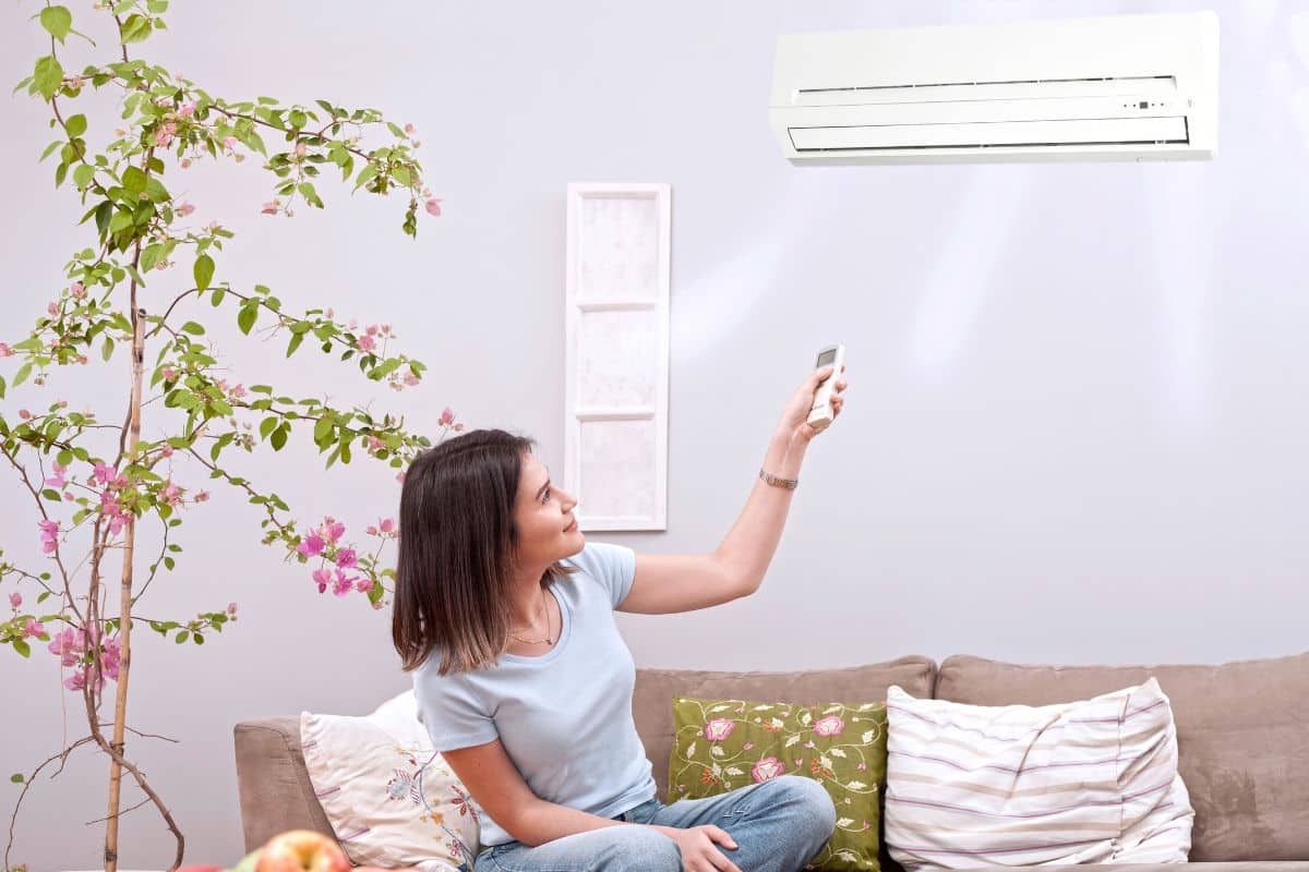 Quels sont les différents types de climatiseurs domestiques et comment faire son choix selon ses besoins