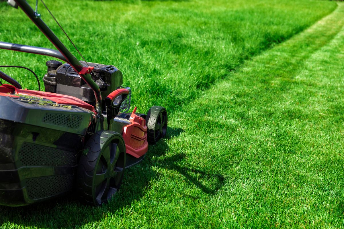 Tonte de la pelouse : Connaissez-vous cette interdiction qui pourrait vous coûter très cher ?