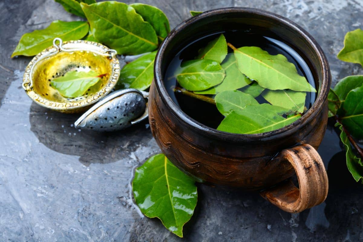 Une seule goutte de ce produit maison et naturel suffira à préserver les fleurs dans votre maison