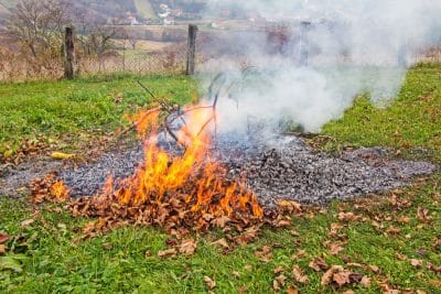 Voici pourquoi vous ne devez surtout pas brûler vos déchets verts inutiles dans votre jardin 