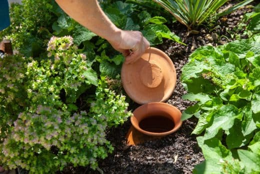 À épingler : Arroser votre potager en période de sécheresse ? Découvrez cette astuce révolutionnaire qui fait des miracles !