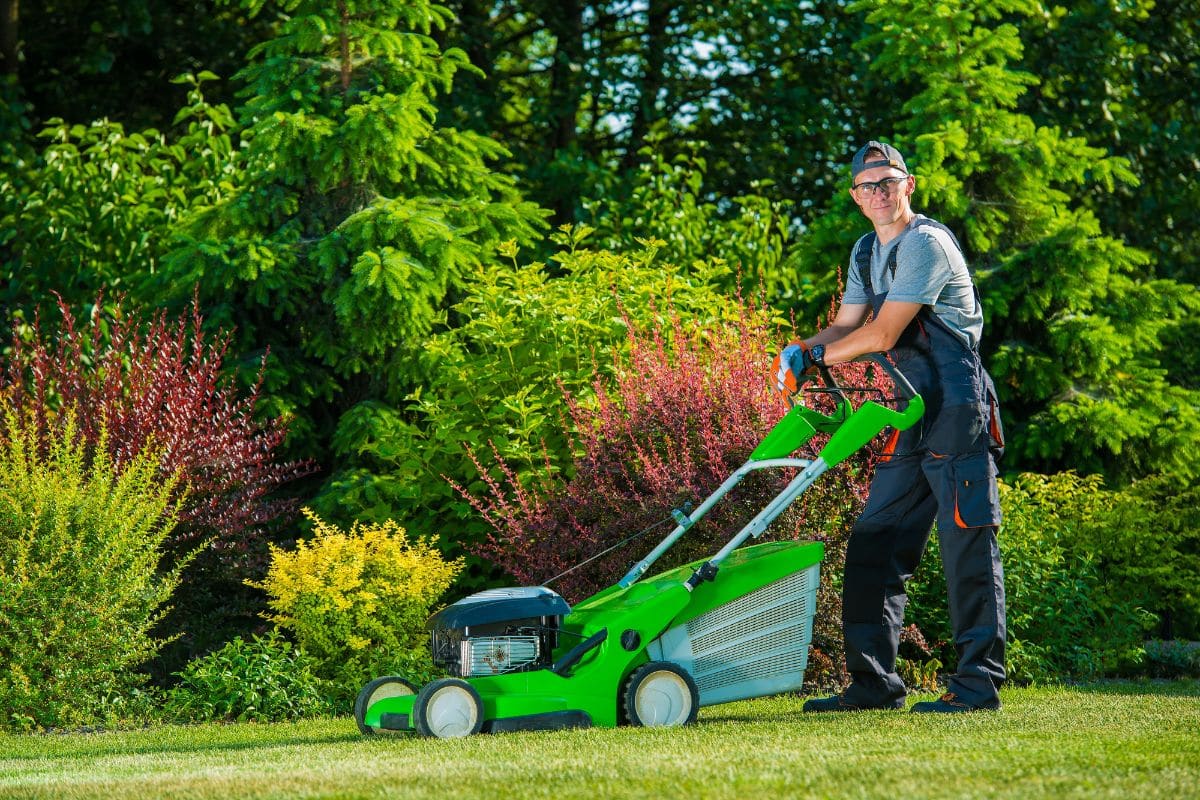 Comment avoir une pelouse parfaite en juillet ? Les jardiniers dévoilent leurs secrets