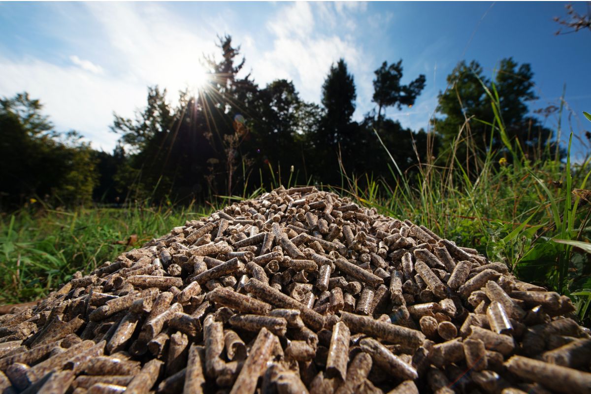 Faites le plein de pellets à prix coûtant jusqu'au 10 juillet !