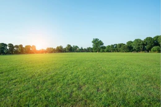 À épingler : Garder une pelouse verte tout l’été malgré les fortes chaleurs, c’est possible grâce à ces 10 astuces