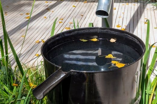 À épingler : Gardez votre jardin en vie pendant l’été avec ces 10 conseils miraculeux !