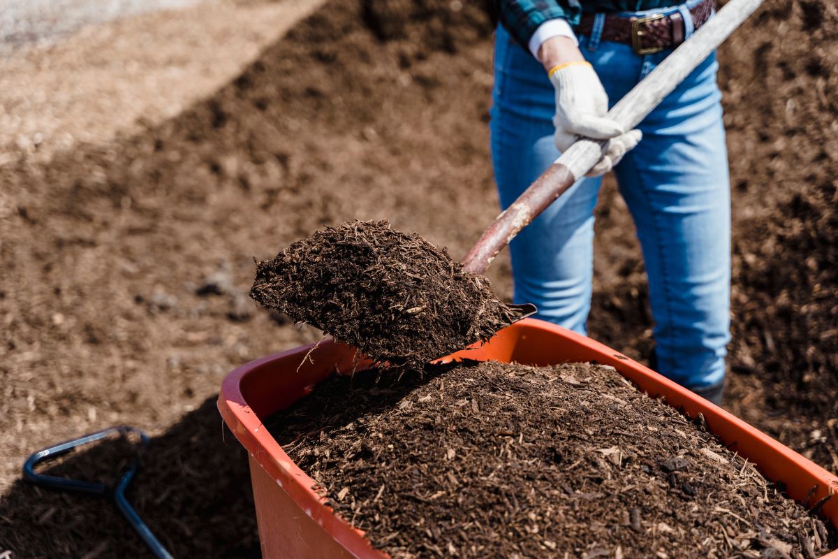 Jardinage écoresponsable : nos conseils pour réutiliser les déchets verts