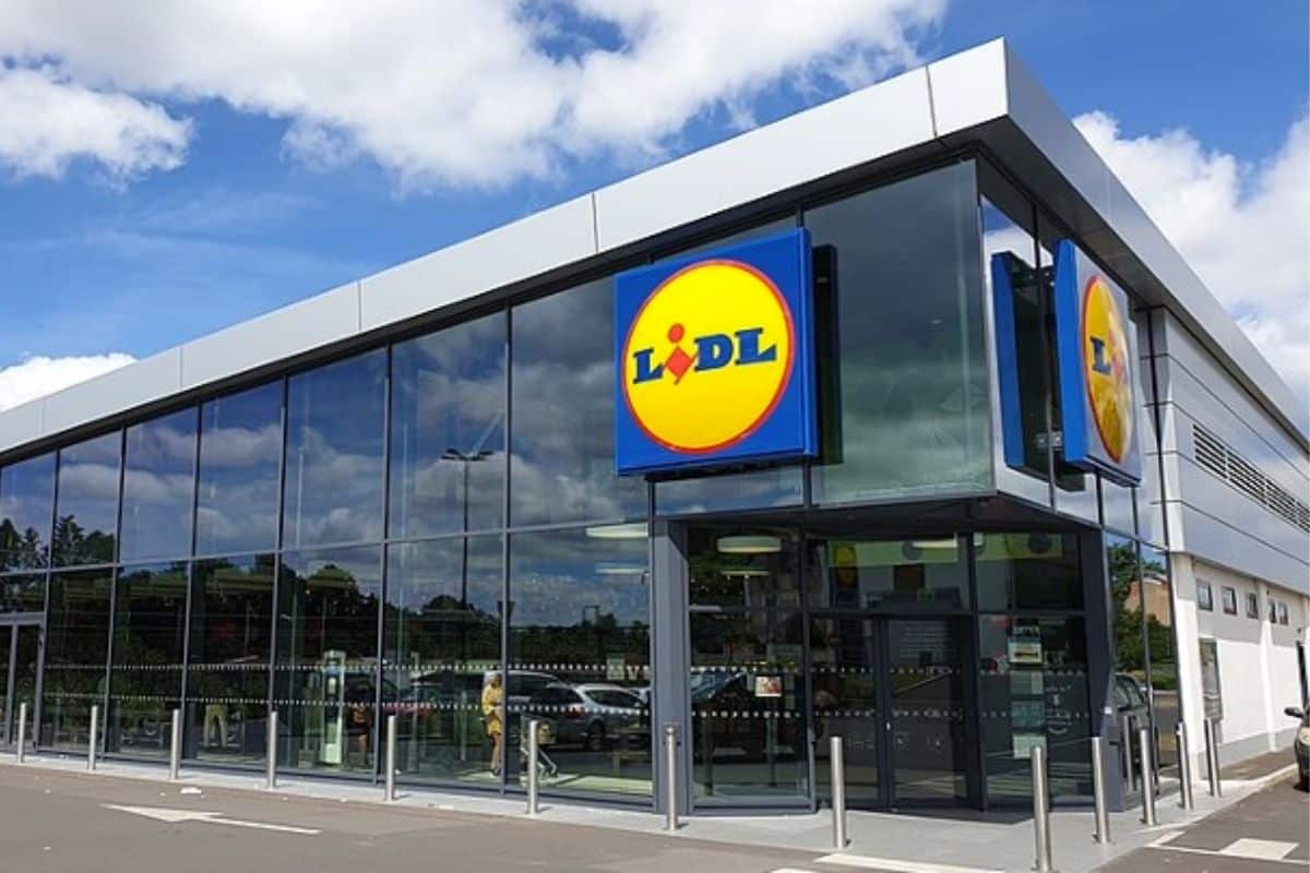 Lidl sort l'accessoire parfait pour se rafraîchir cet été un extracteur de jus à un prix incroyable 