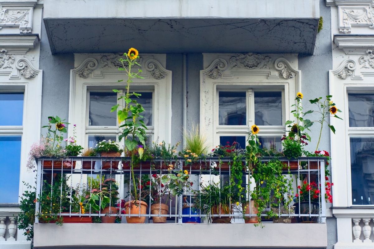 Révolution verte : comment transformer votre balcon en un havre de verdure avec ces 5 idées originales de jardinage urbain !