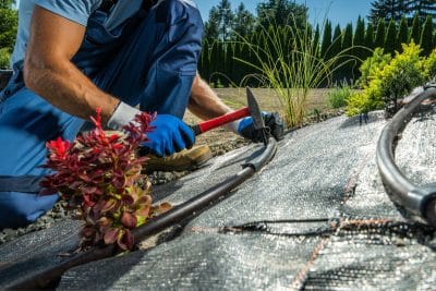 Sauvez vos plantes de la canicule en 3 secondes chrono avec cette astuce révolutionnaire !