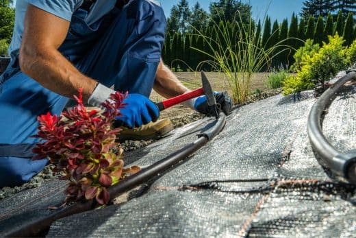 À épingler : Sauvez vos plantes de la canicule en 3 secondes chrono avec cette astuce révolutionnaire !