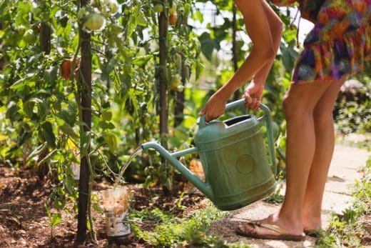 À épingler : SOS sécheresse : les 7 conseils pour préserver votre jardin pendant les périodes de canicule intense !