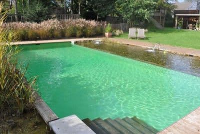 Tendance les piscines écologiques qui purifient naturellement l'eau sans produits chimiques !