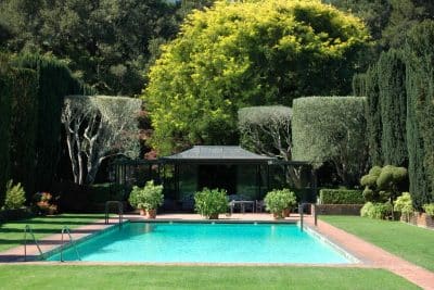 Transformez votre piscine en un paradis tropical avec ces 5 choix de plantes élégantes