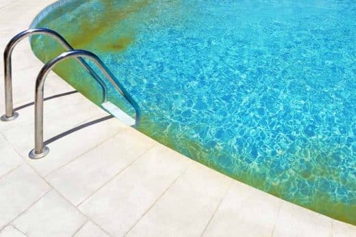À épingler : Votre piscine est-elle infestée de l’algue de moutarde ? Découvrez la cause et le traitement pour retrouver une eau propre.